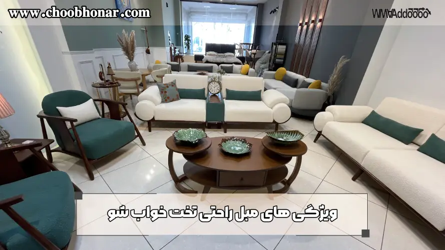 ویژگی های مبل راحتی تخت خواب شو