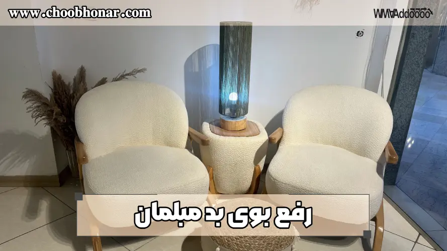 رفع بوی بد مبلمان